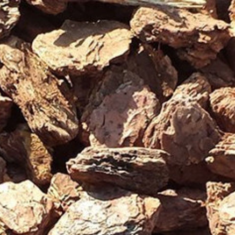 1 medium bark (1)