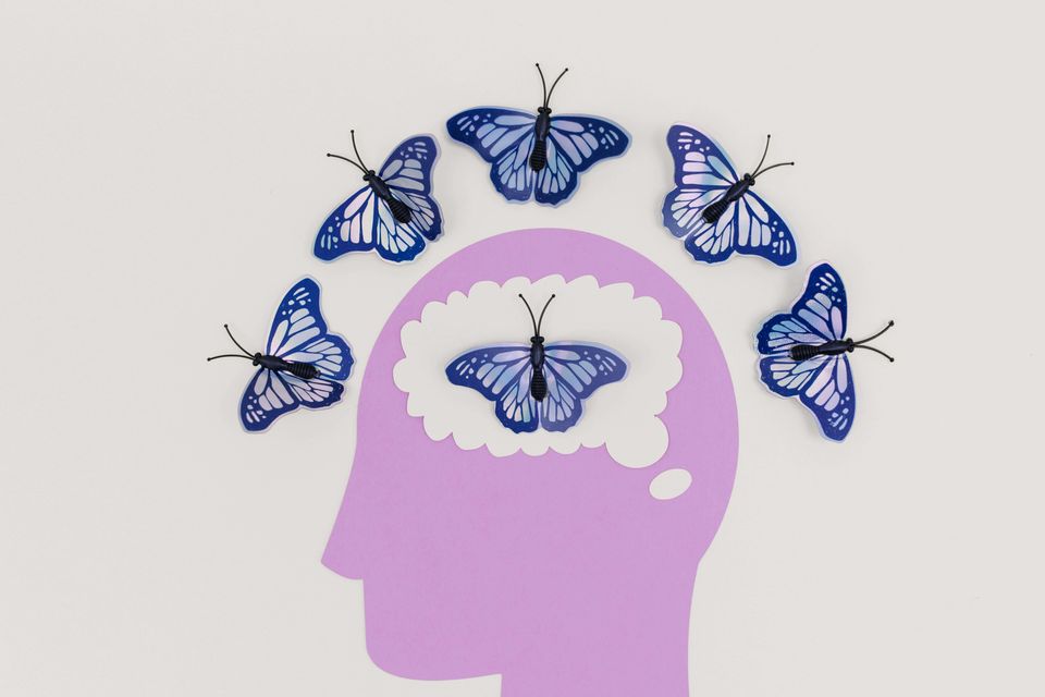 Butterflies