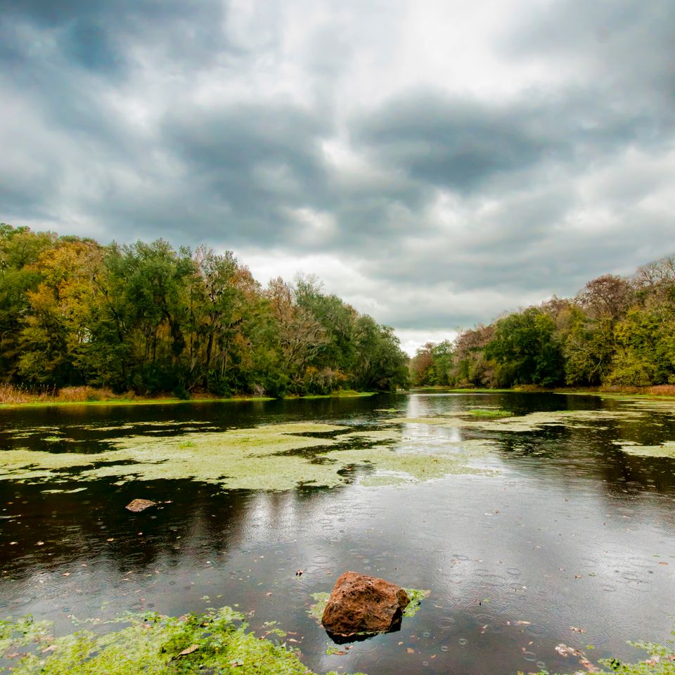 Micanopy santa fe river 272 edit