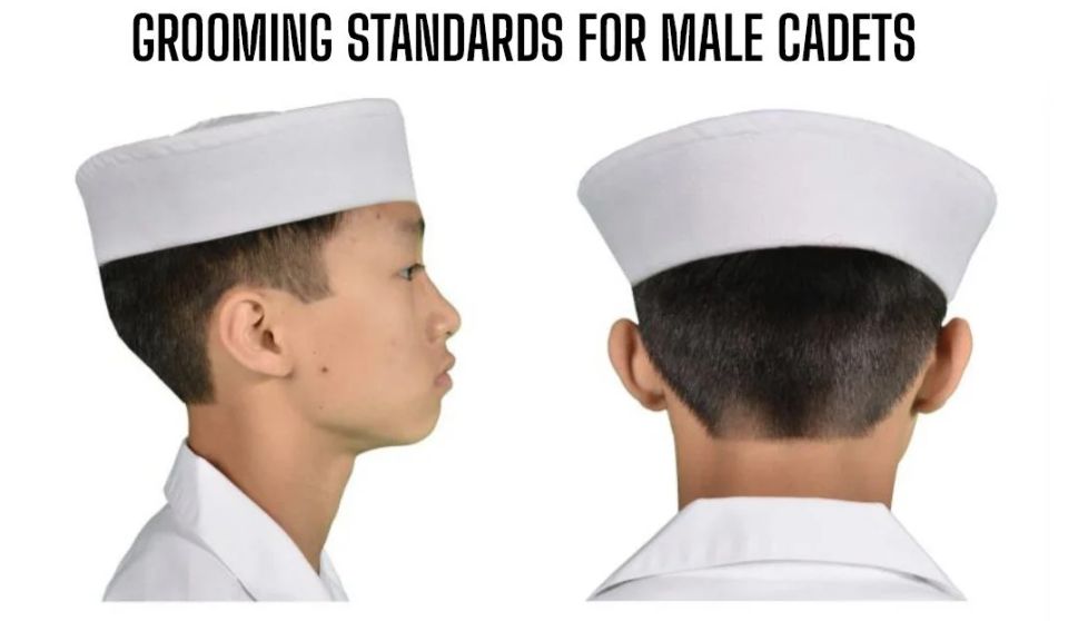 Male grooming.jpg