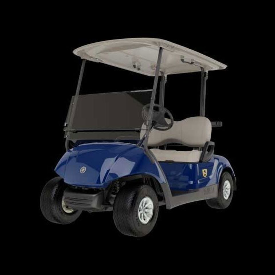 Tanzanite golf carts chattanooga