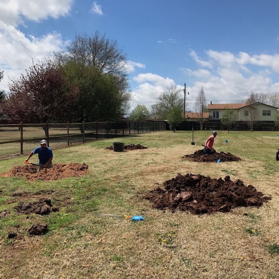 Landscaping solutions   tulsa oklahoma   tree planting   image2 2