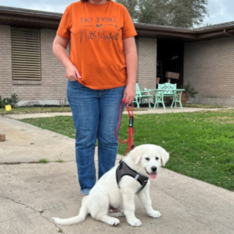 Advanced obedience pic