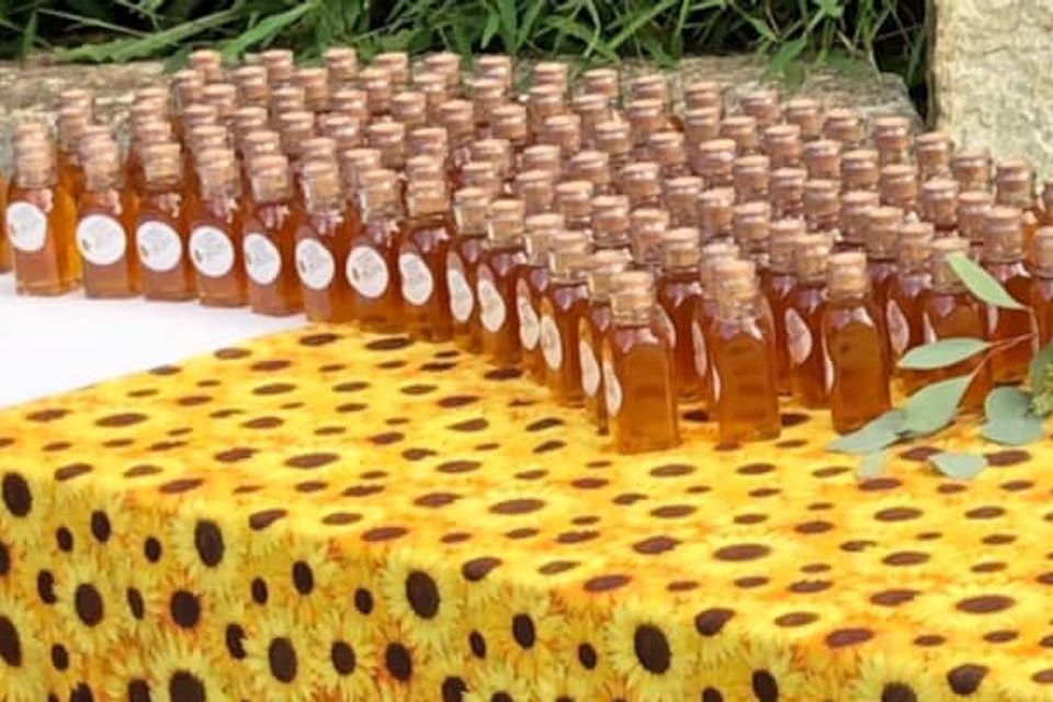 7b8337c8 ce91 4203 8181 549e964ee256