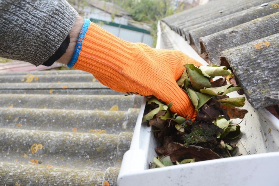 Gutter cleaning picture