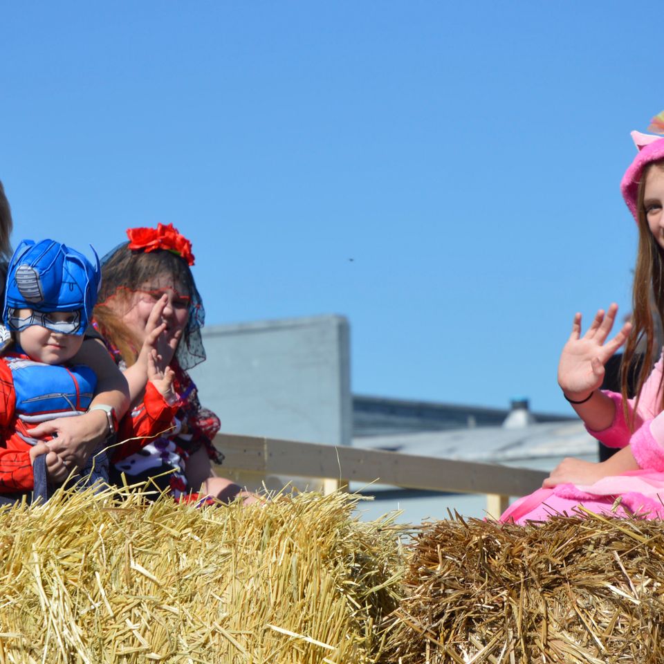 Hayride