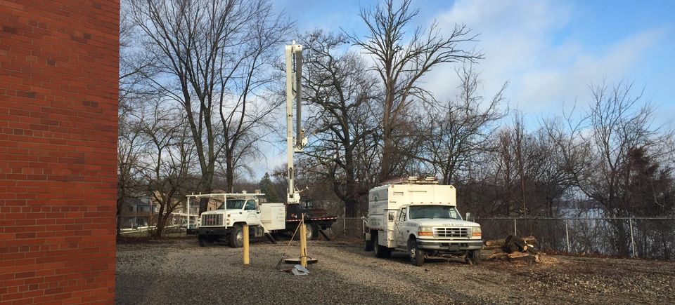 Truck trimming trees