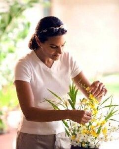 Flower care 241x300
