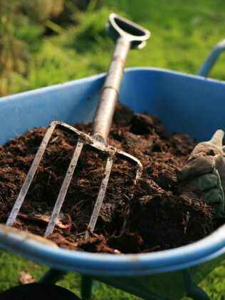 Bigstock organic gardener 9835646