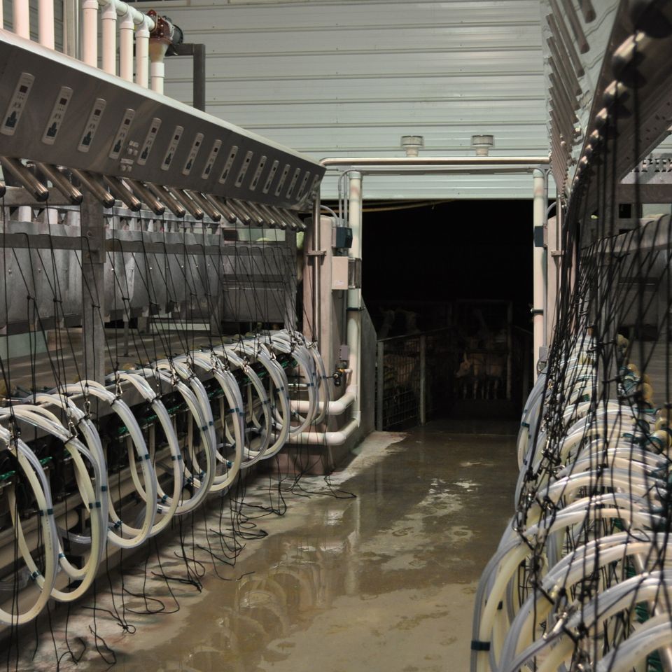 Dairy equipment pic 120180222 11394 e5lh8f