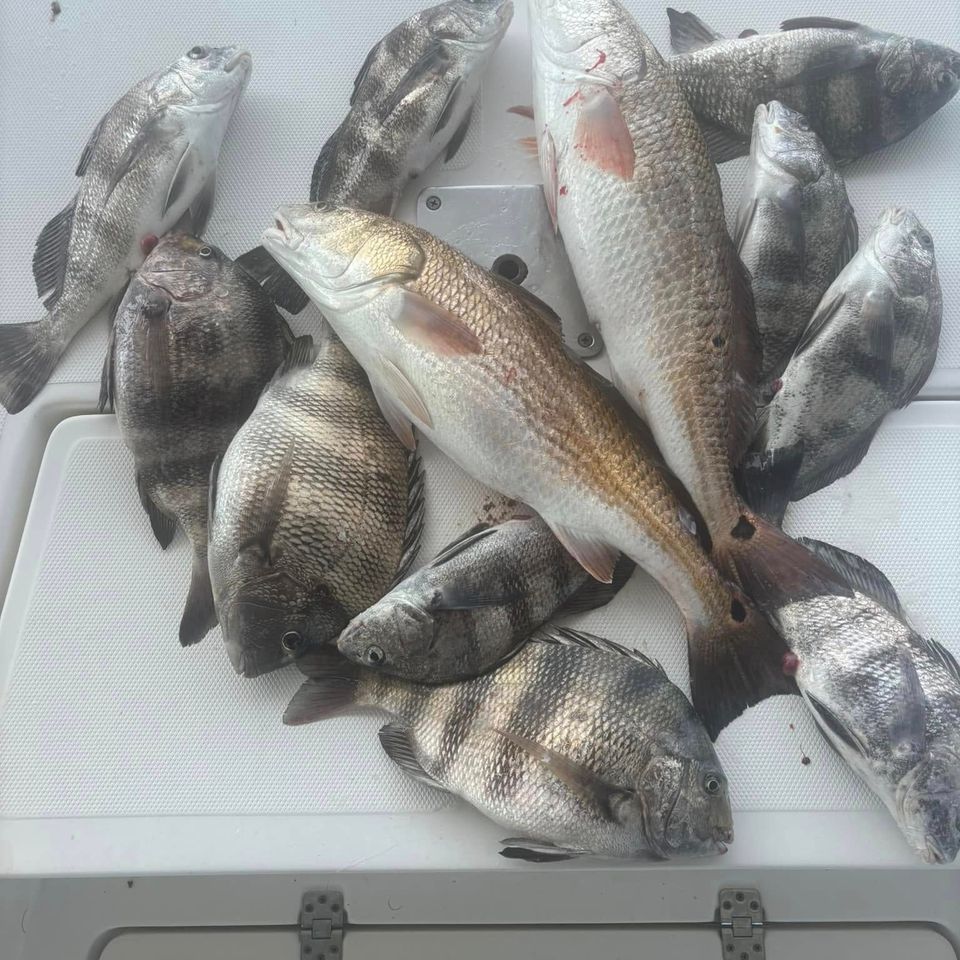 N2 fishing deck hand