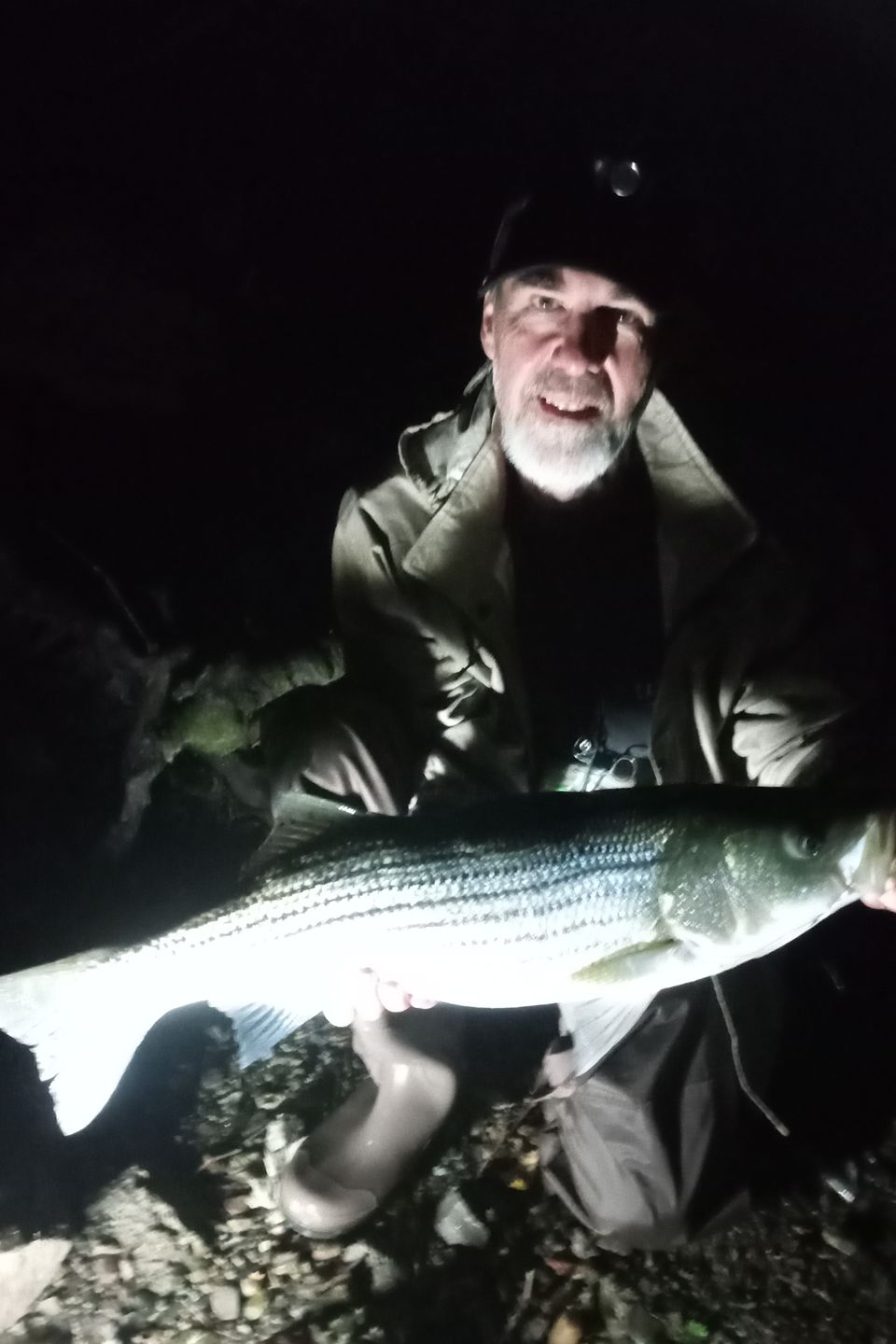 Rudy Talamantez of Willow Street caught this 31" Striped Bass while night fishing at Safe Harbor.