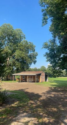 Pecan tree job 4