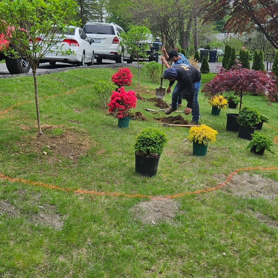 Before mulch diaz landscaping