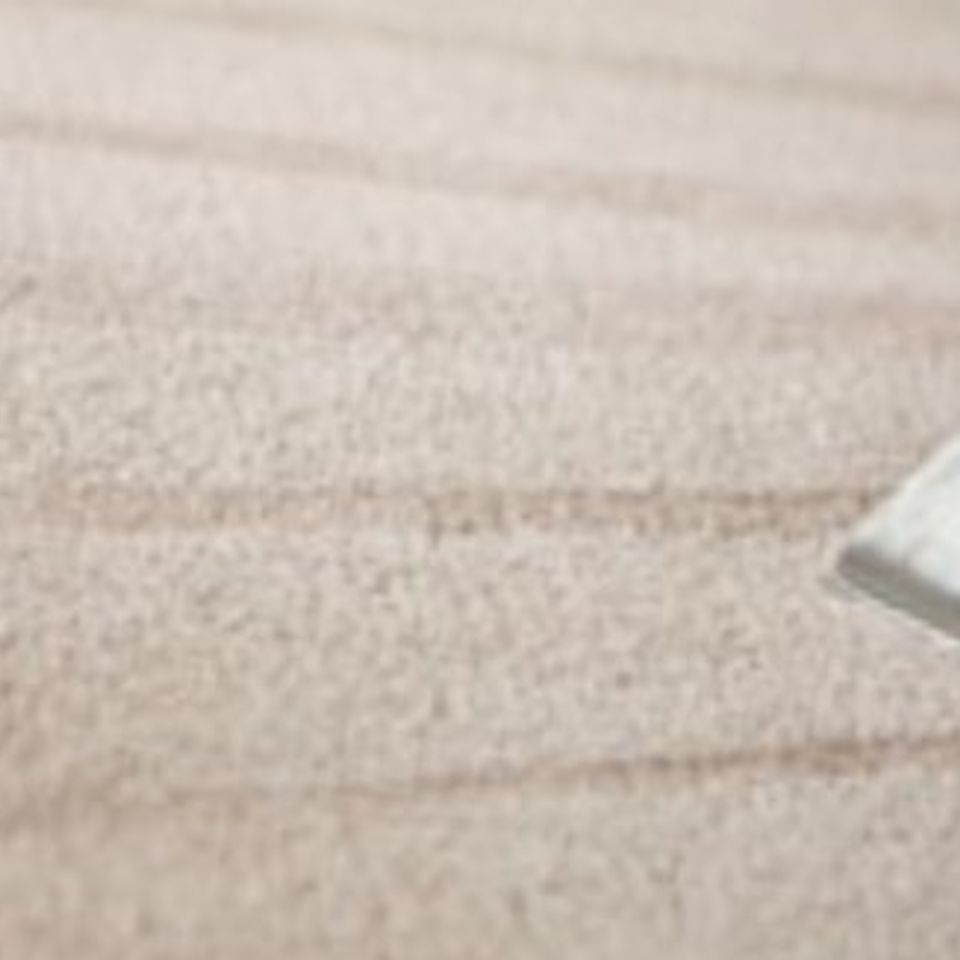 Cropped carpet cleaning20151022 27927 vud8lm
