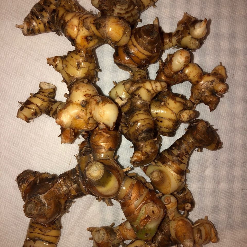 Thai ginger