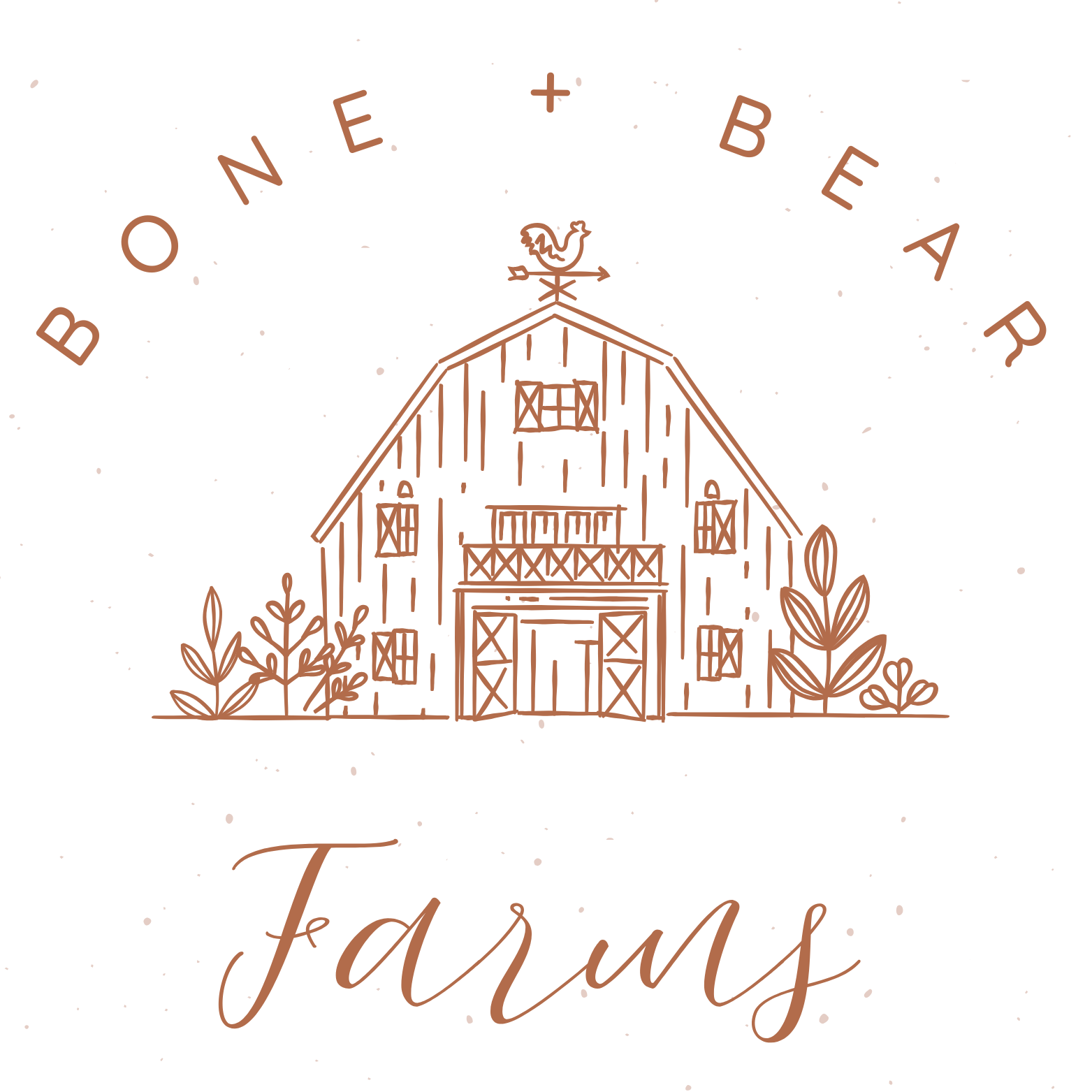 Bone + Bear Farms