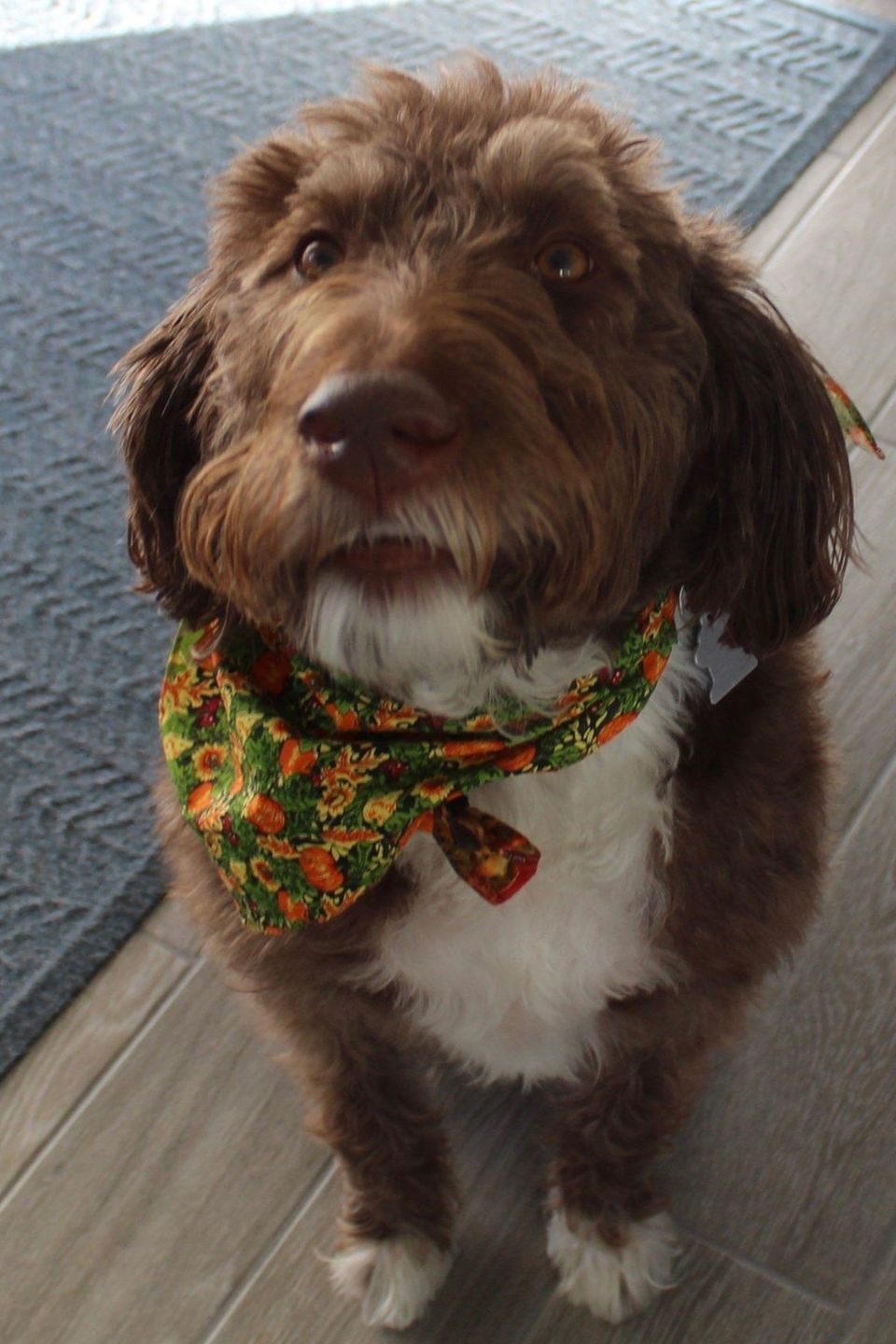 Coco