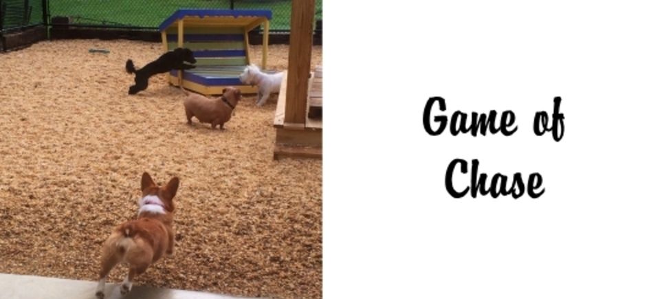 Games   chase20150621 16882 wfggqg
