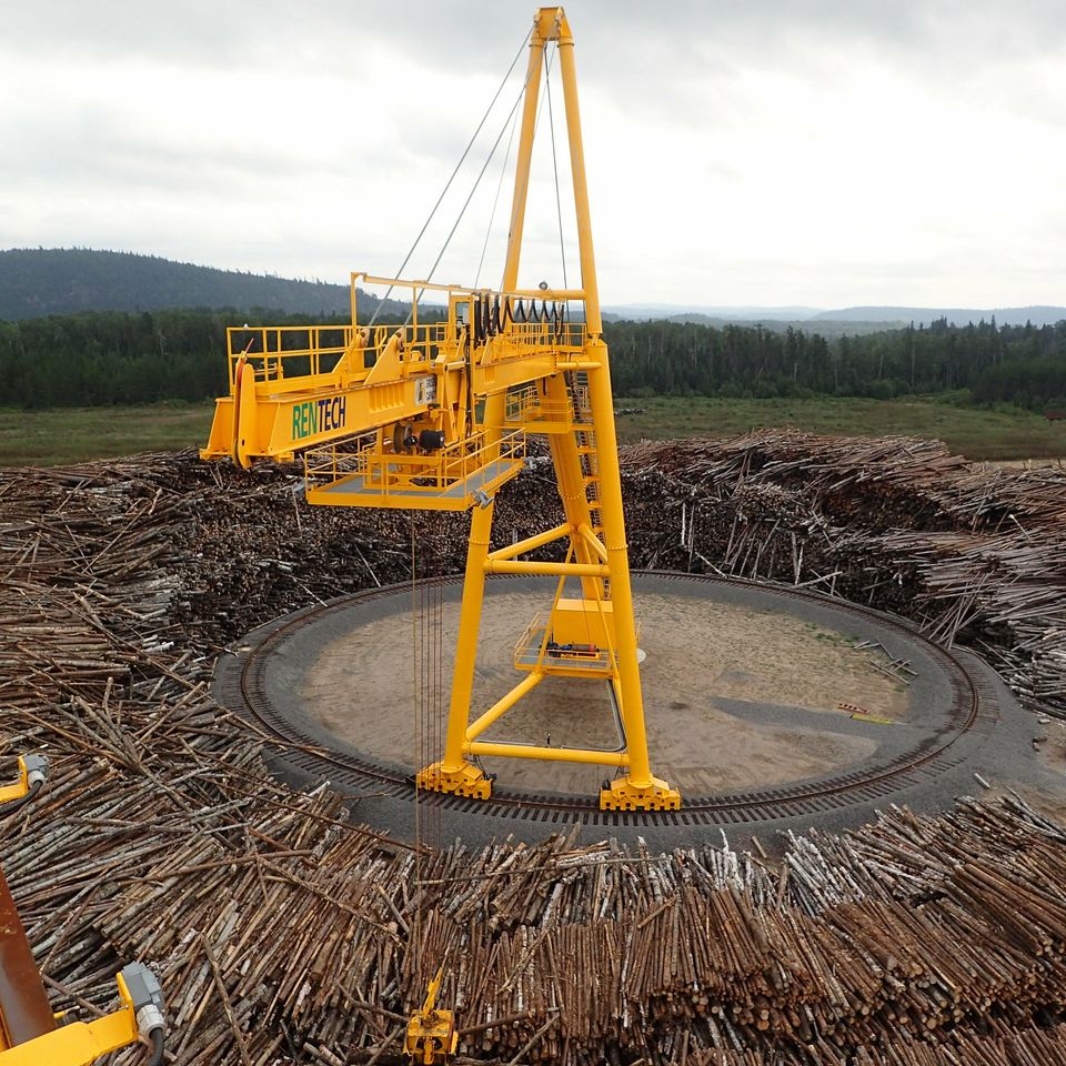 Crane picture with wood circle under p8300007