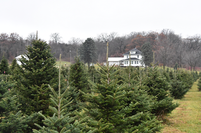 Screenshot 2025 12 04 at 3.49.48 pm