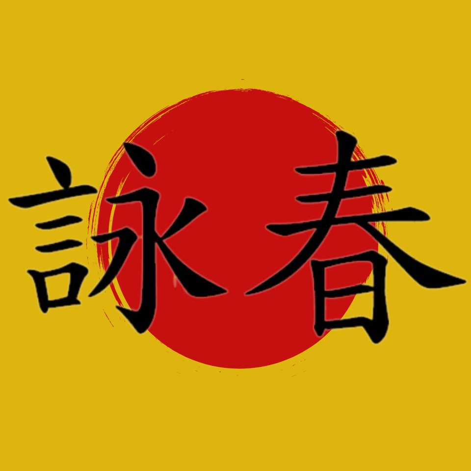 Wingtsun art for the website image 3.0