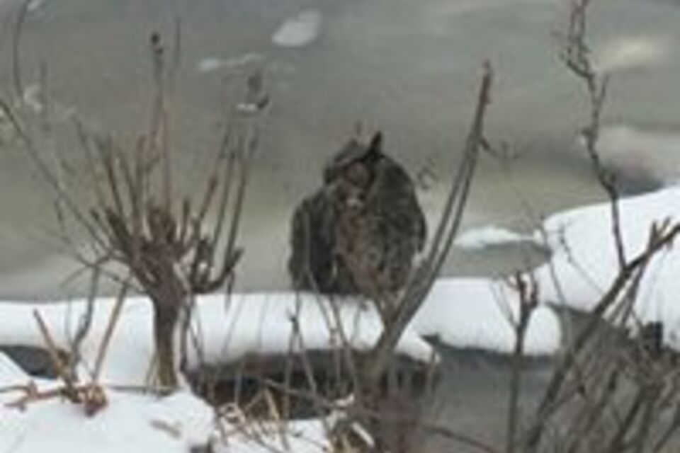 27072960 2303023976389966 3872226035569014990 n 960x960