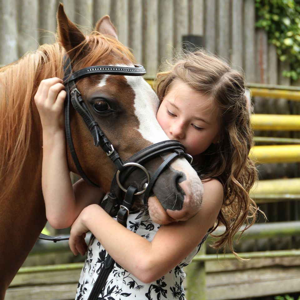 Pony Party