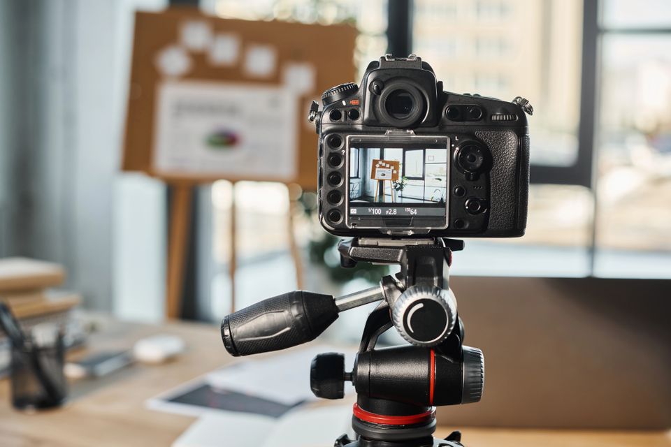 Small business photography spring chicken socials