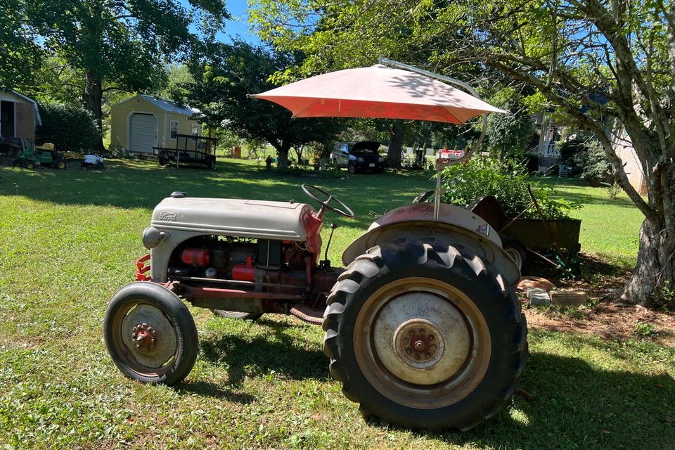 Hazel green canopy ford