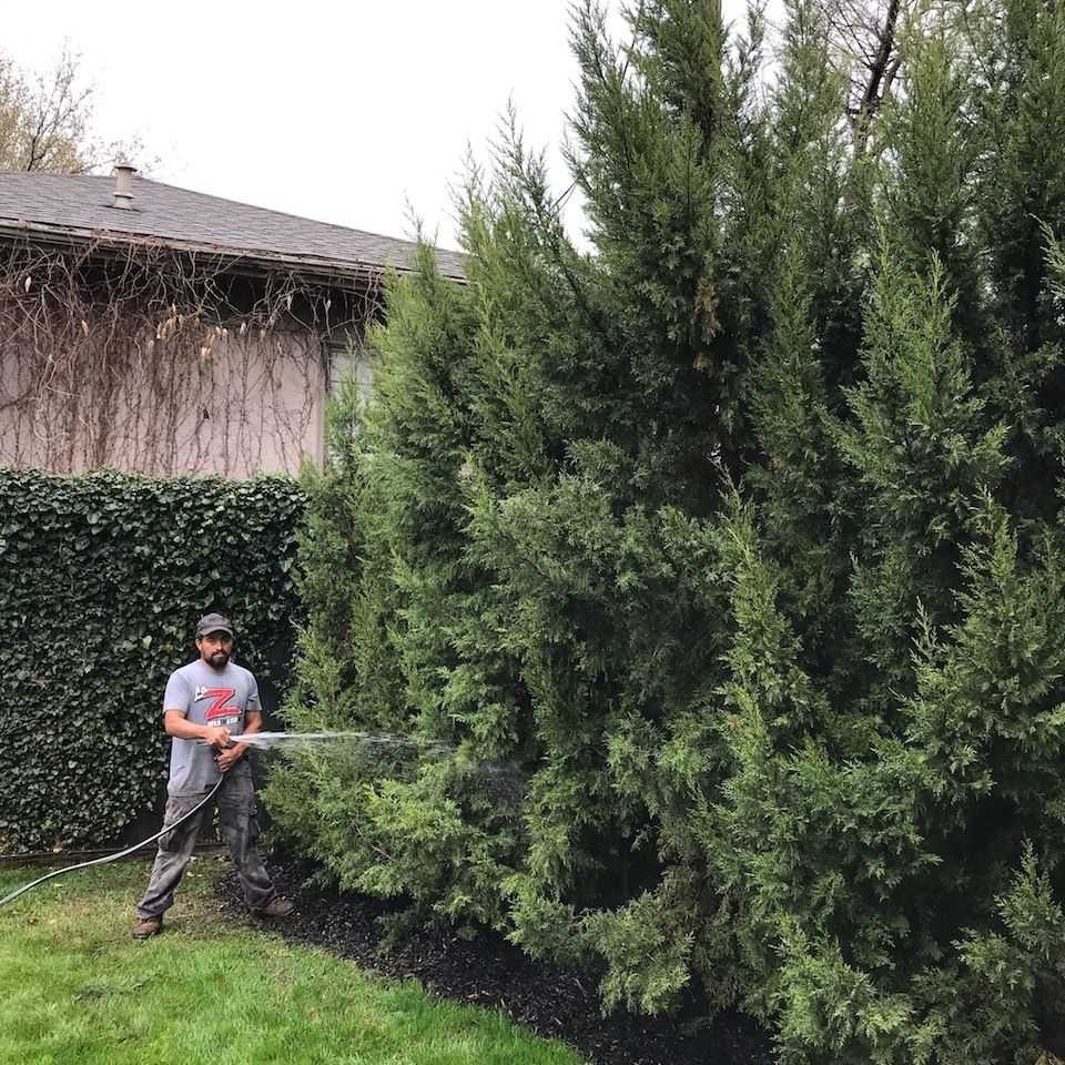 Landscaping solutions   tulsa oklahoma   tree and flowerbed maintenance   image3 3