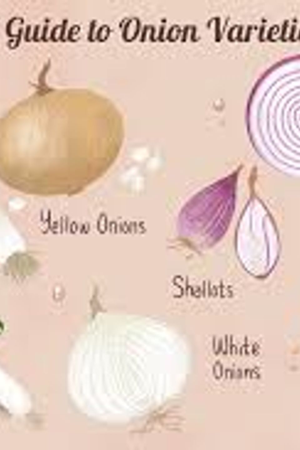 Onion