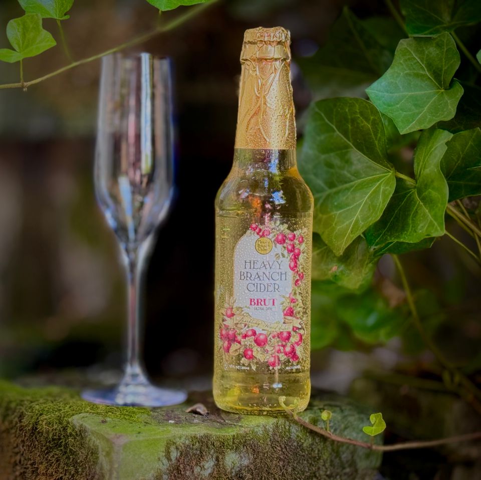 Heavy Branch Brut Cider bottle with flute – premium ultra-dry, naturally sparkling hard cider.