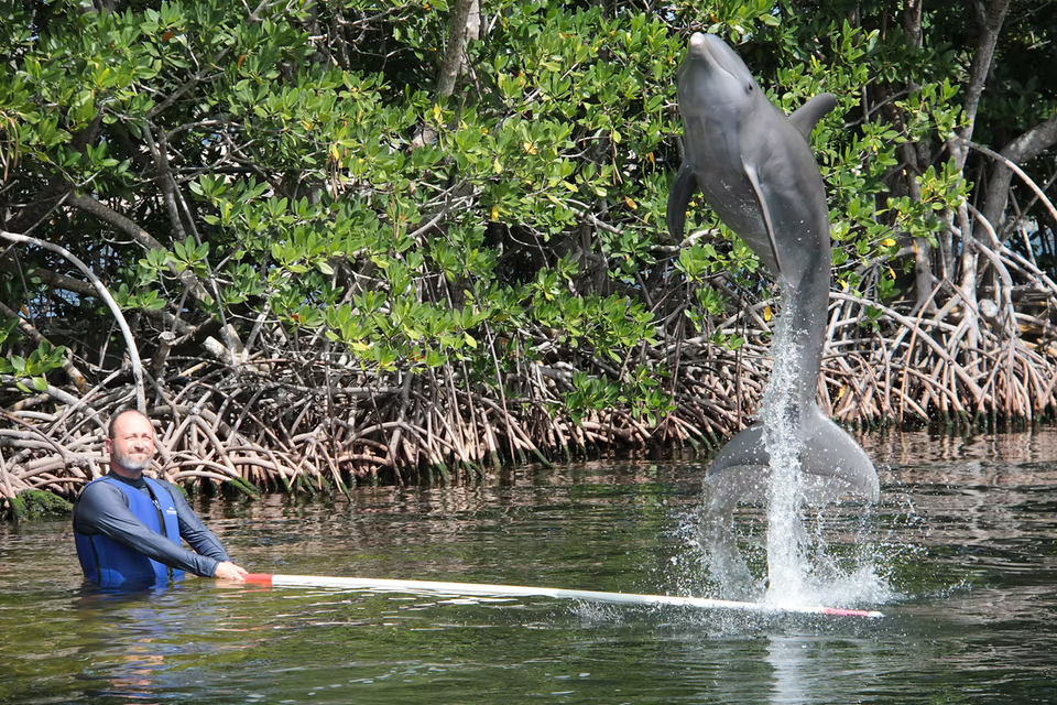 89e681 db473799c2d6492f846b183a7b5de6d9 mv2