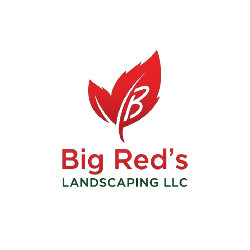 Big red s logo removebg preview