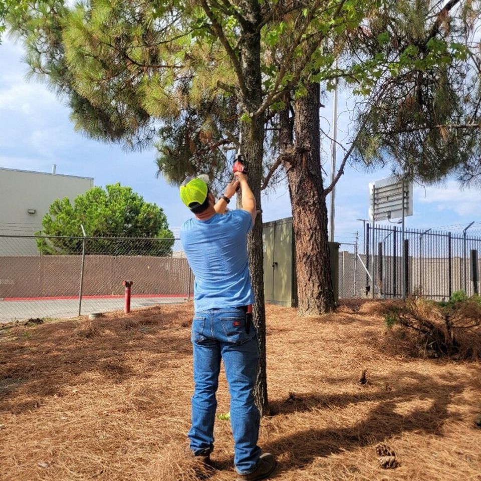 Sprinkler repair Roseville