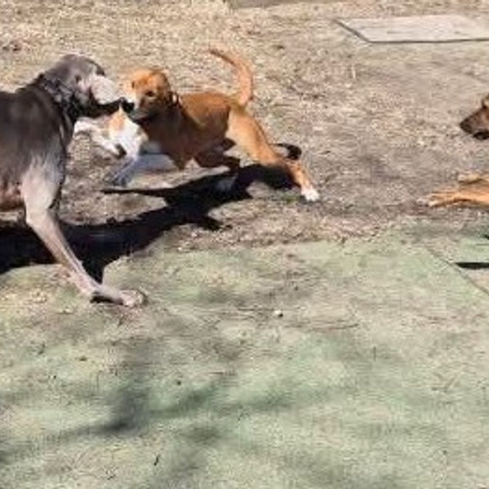 Fb img 1769435467526