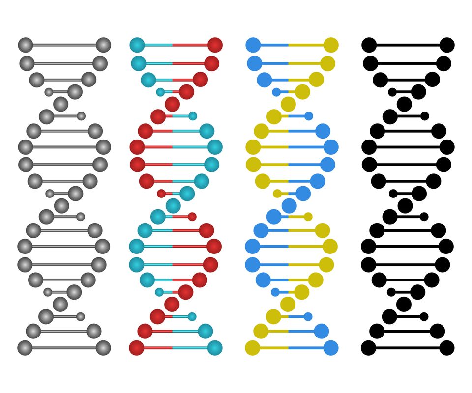 Human dna design vector