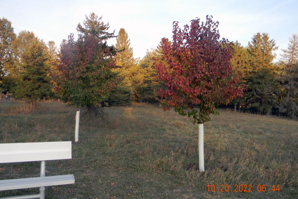 Dscn7384