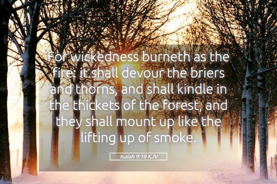 Isaiah 9 18 kjv for wickedness burneth as the fire it shall i23009018 l05