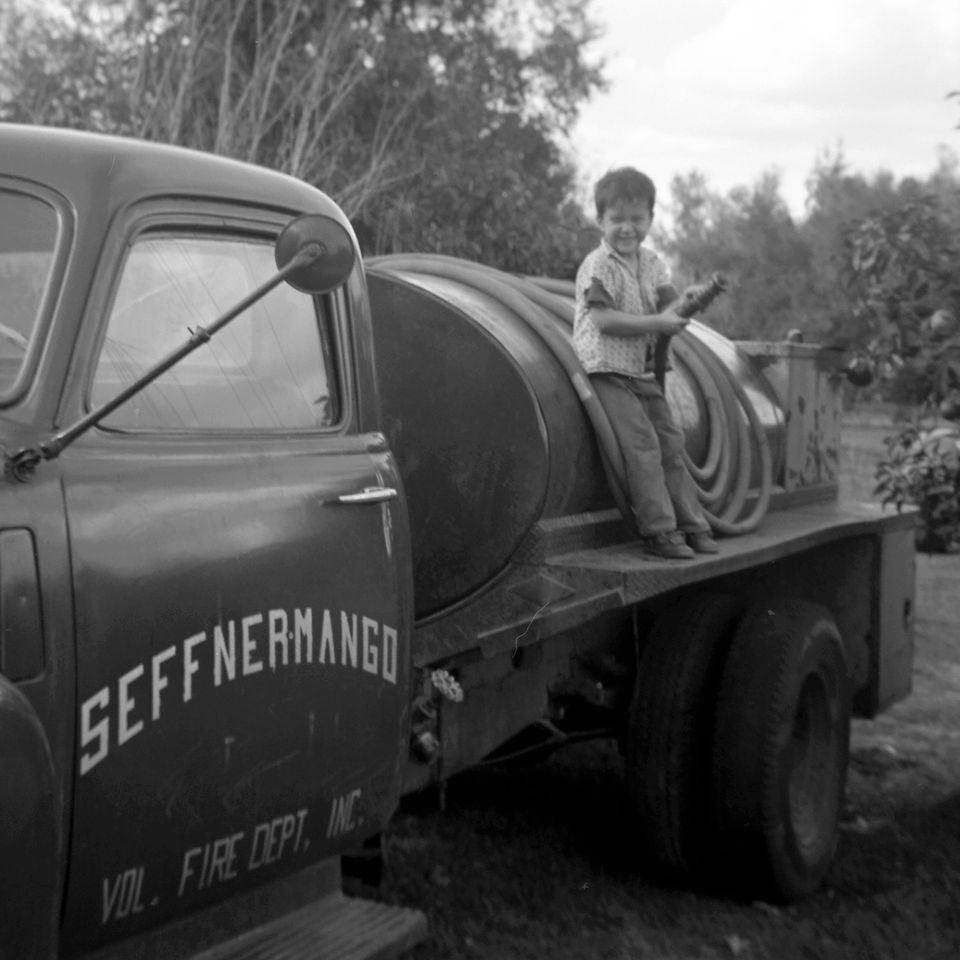 Seffner mango vfd bradley price