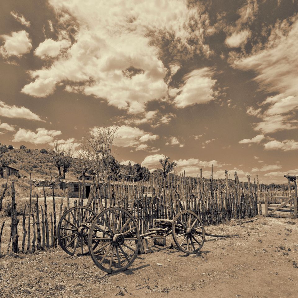 Pipe springs wagon sepia