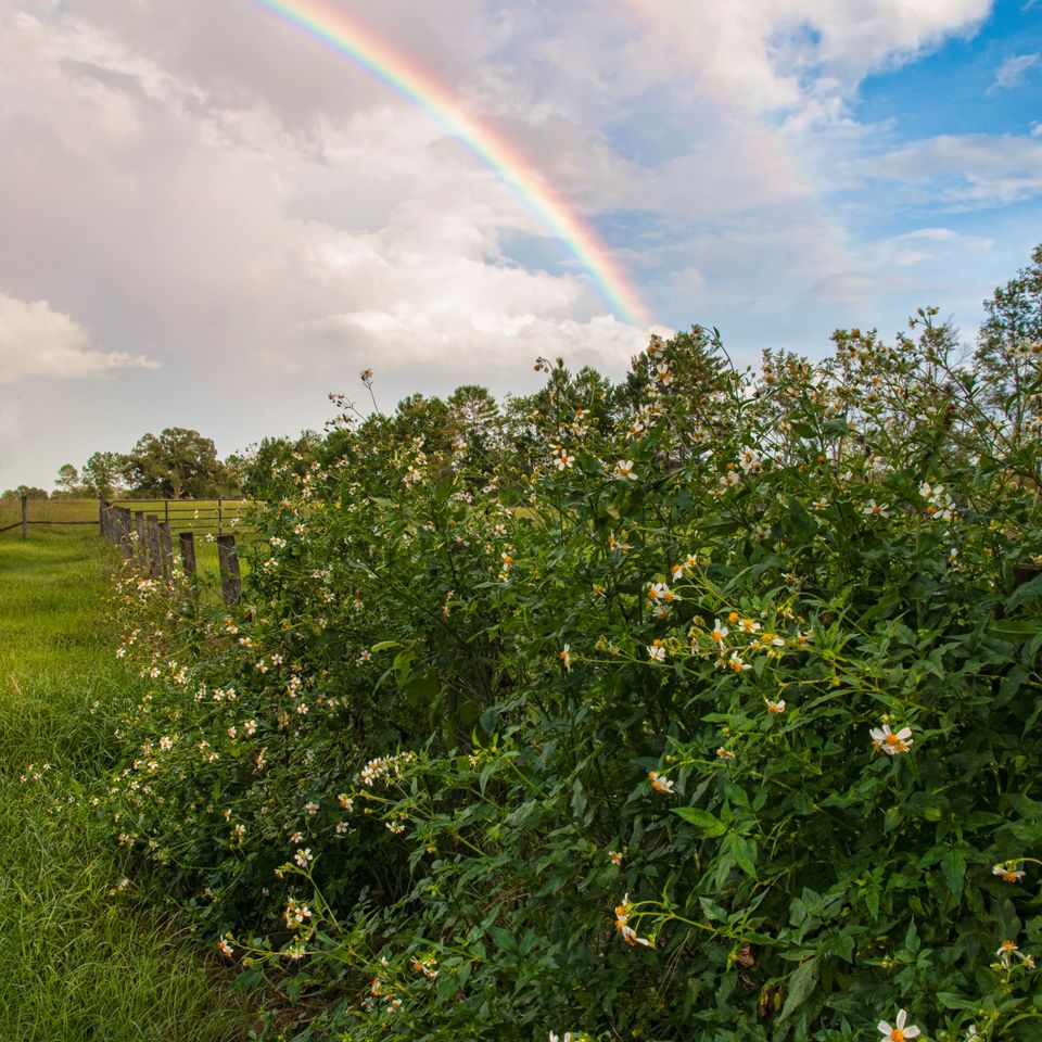 Rainbow and fog 16 edit