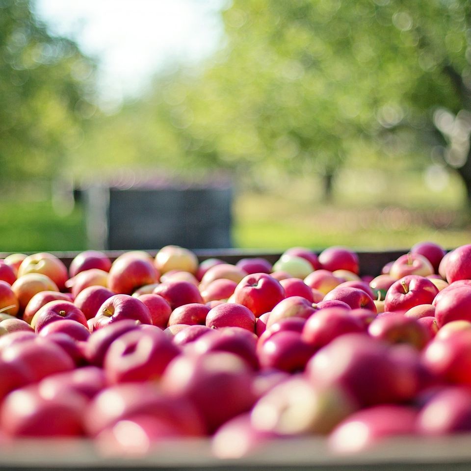 Apples gbc3c94a66 1920