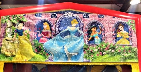 Banner disney princess