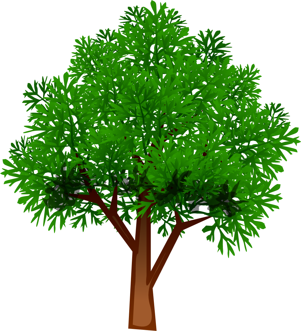 Lucky's Tree services