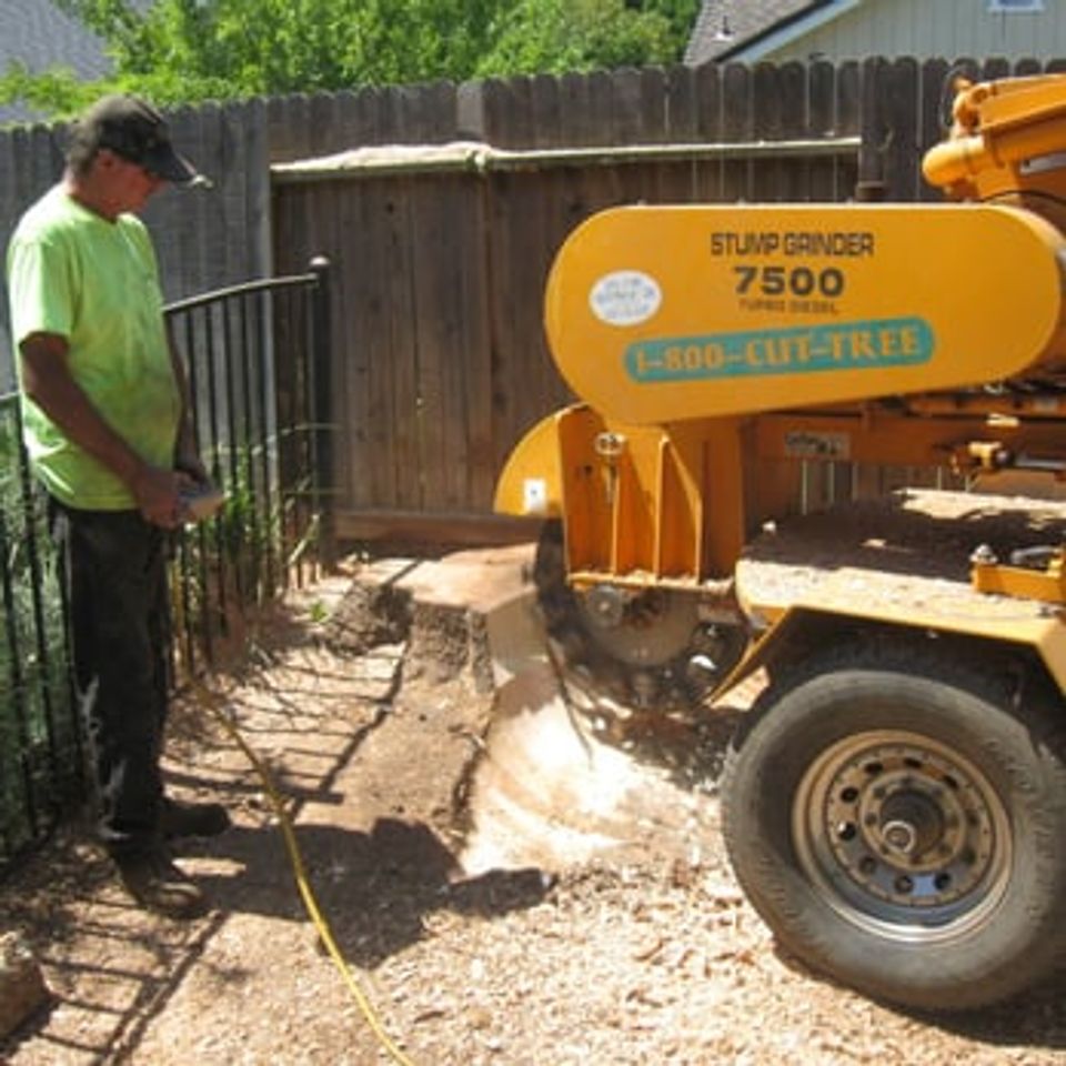 Professional stump grinding and surface root removal using specialized machinery – Bud’s Tri-County Tree Services Inc. – Licensed #785788