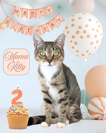 Mama kitty