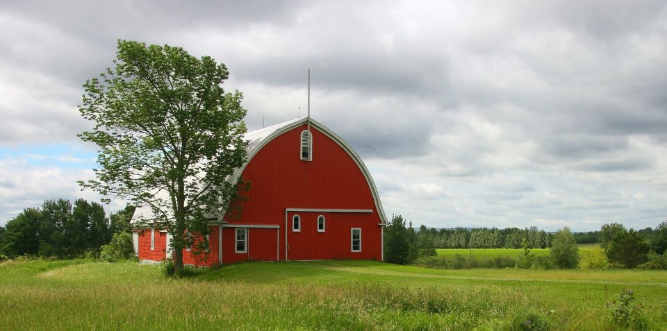 Barn g79901f304 1920