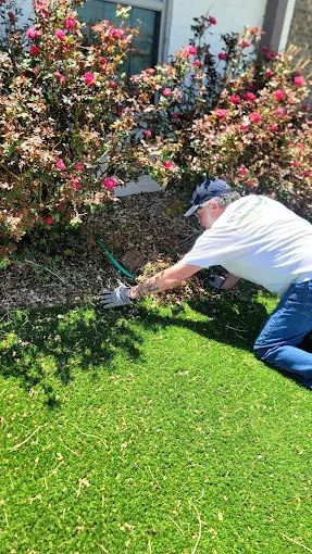 Received 667422201904345 original